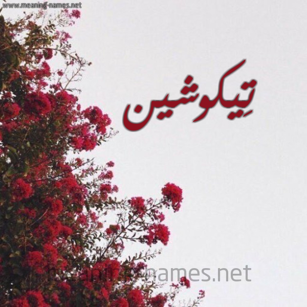 شكل 18 صوره الورد الأحمر للإسم بخط رقعة صورة اسم تِيكوشين TEIKOSHIN