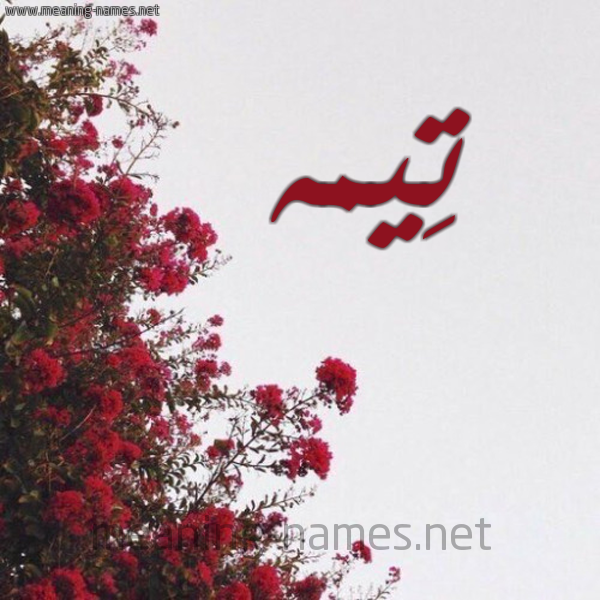 شكل 18 صوره الورد الأحمر للإسم بخط رقعة صورة اسم تِيمه TEIMH