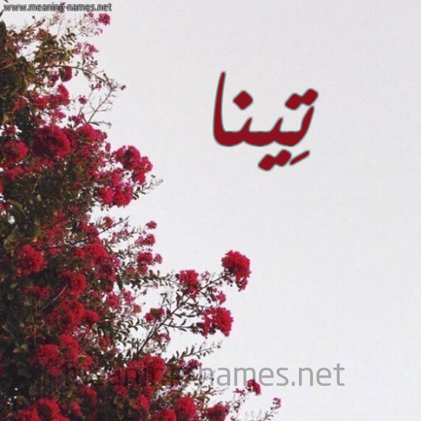 شكل 18 صوره الورد الأحمر للإسم بخط رقعة صورة اسم تِينا Teina