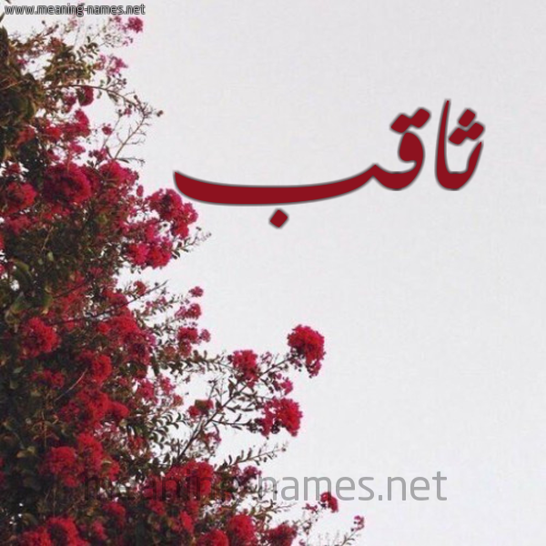 شكل 18 صوره الورد الأحمر للإسم بخط رقعة صورة اسم ثاقب tahqeb