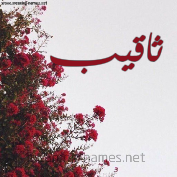 شكل 18 صوره الورد الأحمر للإسم بخط رقعة صورة اسم ثاقيب Thaqib