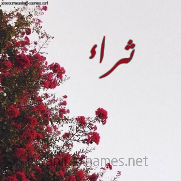 شكل 18 صوره الورد الأحمر للإسم بخط رقعة صورة اسم ثراء Thraa