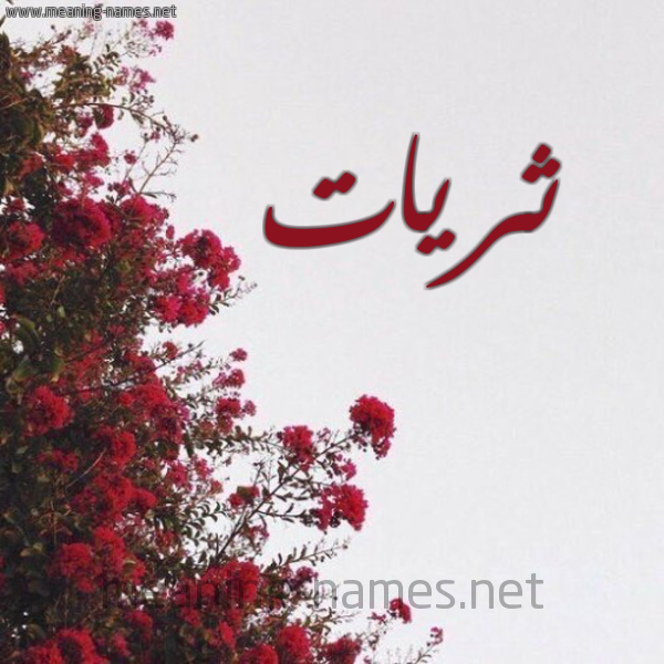 شكل 18 صوره الورد الأحمر للإسم بخط رقعة صورة اسم ثريات Thryat