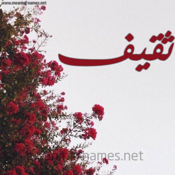 شكل 18 صوره الورد الأحمر للإسم بخط رقعة صورة اسم ثقيف Thqyf