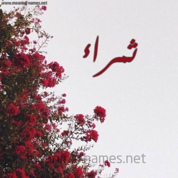 شكل 18 صوره الورد الأحمر للإسم بخط رقعة صورة اسم ثمراء THMRAA