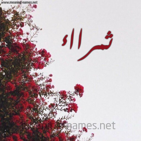 شكل 18 صوره الورد الأحمر للإسم بخط رقعة صورة اسم ثمرااء Thamraa