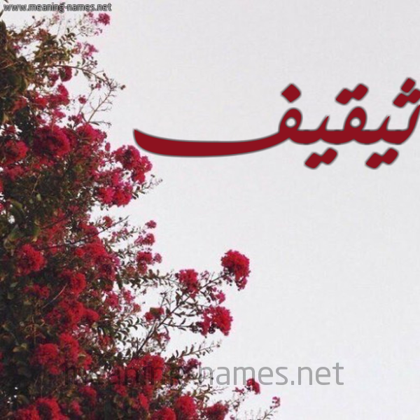 شكل 18 صوره الورد الأحمر للإسم بخط رقعة صورة اسم ثيقيف Thaqif