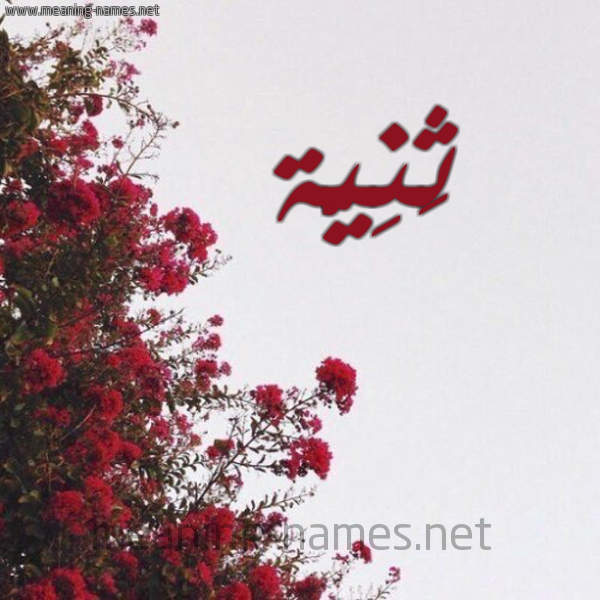 شكل 18 صوره الورد الأحمر للإسم بخط رقعة صورة اسم ثَنِيَّة THANEIAH