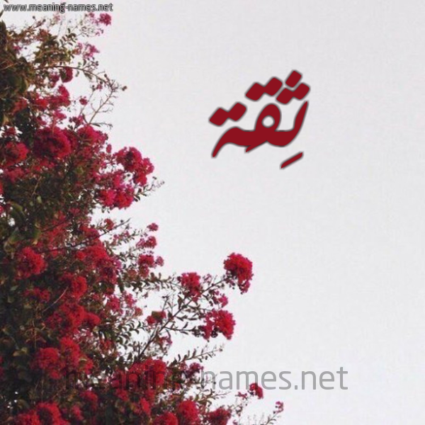 شكل 18 صوره الورد الأحمر للإسم بخط رقعة صورة اسم ثِقَة THEQAH
