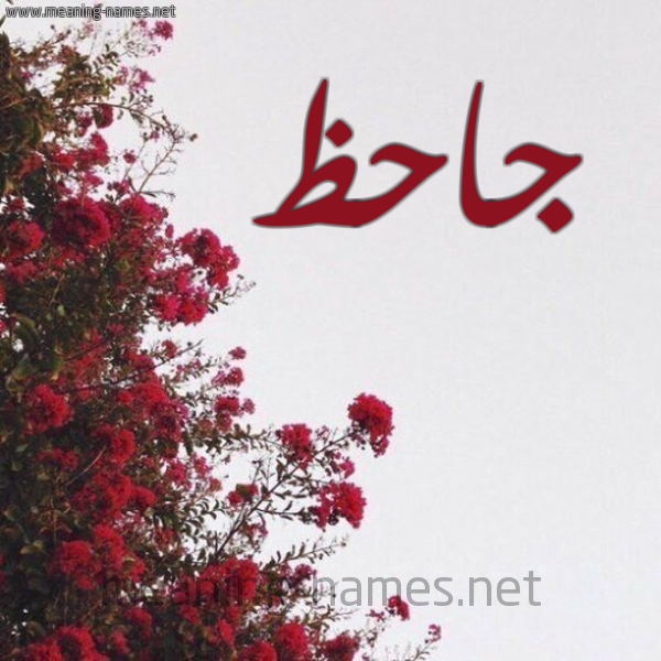 شكل 18 صوره الورد الأحمر للإسم بخط رقعة صورة اسم جاحظ GAHZ