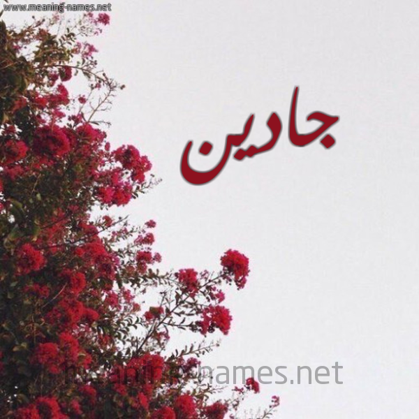 شكل 18 صوره الورد الأحمر للإسم بخط رقعة صورة اسم جادين Jaden