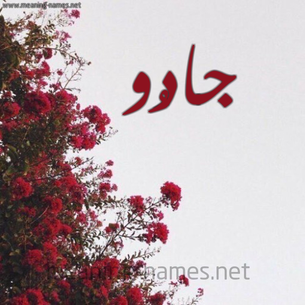 شكل 18 صوره الورد الأحمر للإسم بخط رقعة صورة اسم جادُو GADOO