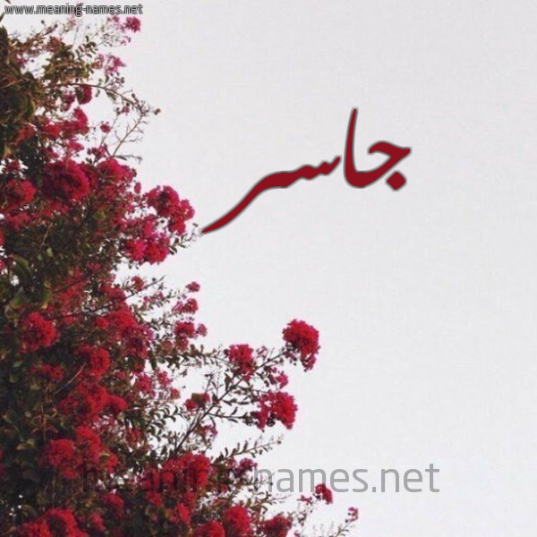 شكل 18 صوره الورد الأحمر للإسم بخط رقعة صورة اسم جاسر Jasr