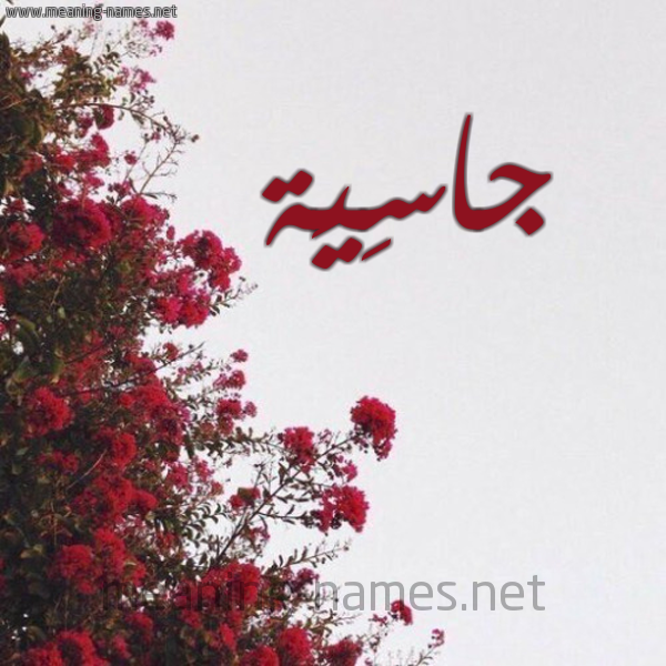 شكل 18 صوره الورد الأحمر للإسم بخط رقعة صورة اسم جاسِيَة GASEIAH
