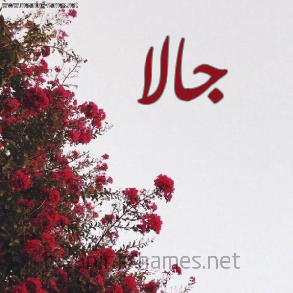 شكل 18 صوره الورد الأحمر للإسم بخط رقعة صورة اسم جالا Jala