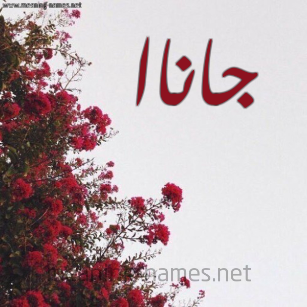 شكل 18 صوره الورد الأحمر للإسم بخط رقعة صورة اسم جاناا janaa