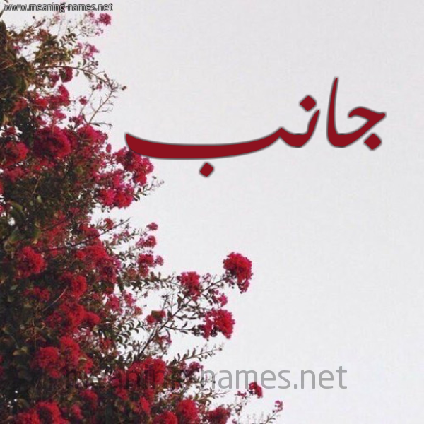شكل 18 صوره الورد الأحمر للإسم بخط رقعة صورة اسم جانب GANB