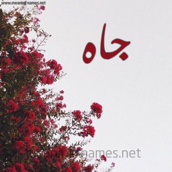 شكل 18 صوره الورد الأحمر للإسم بخط رقعة صورة اسم جاه Jah