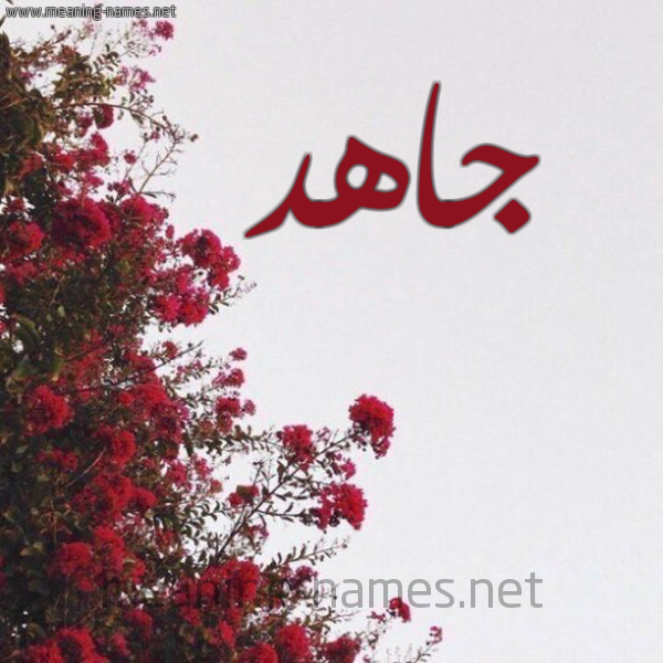 شكل 18 صوره الورد الأحمر للإسم بخط رقعة صورة اسم جاهد GAHD