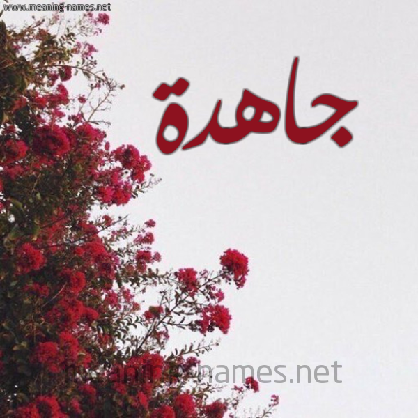 شكل 18 صوره الورد الأحمر للإسم بخط رقعة صورة اسم جاهدة Jahd'h