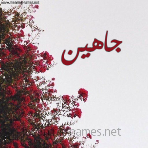 شكل 18 صوره الورد الأحمر للإسم بخط رقعة صورة اسم جاهين GAHIN