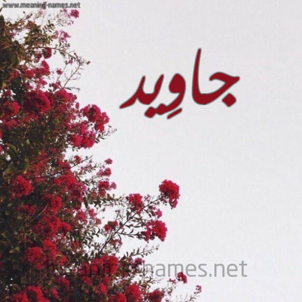 شكل 18 صوره الورد الأحمر للإسم بخط رقعة صورة اسم جاوِيد GAOEID