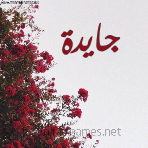 شكل 18 صوره الورد الأحمر للإسم بخط رقعة صورة اسم جايدة jaida