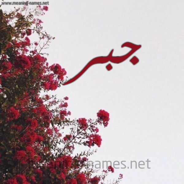 شكل 18 صوره الورد الأحمر للإسم بخط رقعة صورة اسم جبر Jbr