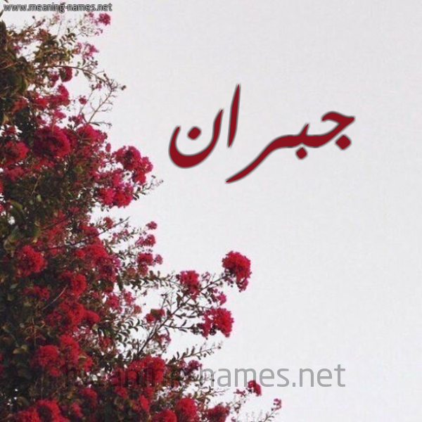 شكل 18 صوره الورد الأحمر للإسم بخط رقعة صورة اسم جبران Jbran