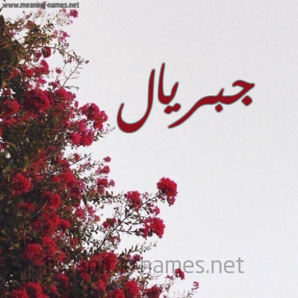 شكل 18 صوره الورد الأحمر للإسم بخط رقعة صورة اسم جبريال Gabrial