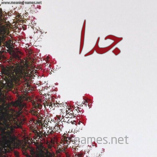 شكل 18 صوره الورد الأحمر للإسم بخط رقعة صورة اسم جدا Jda