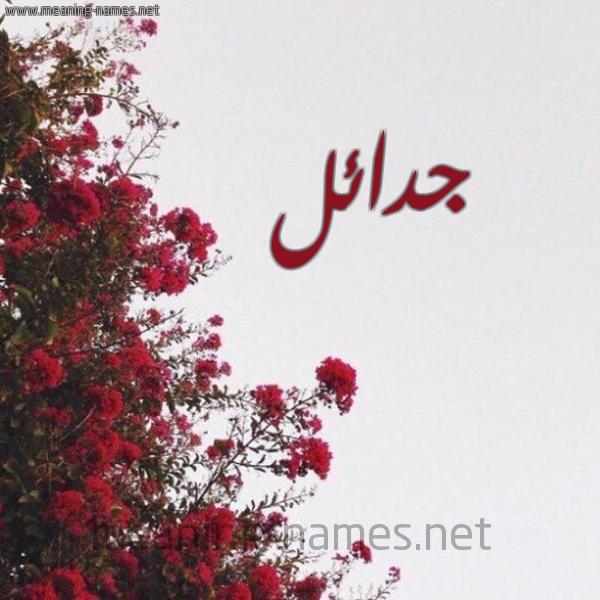 شكل 18 صوره الورد الأحمر للإسم بخط رقعة صورة اسم جدائل Jadael