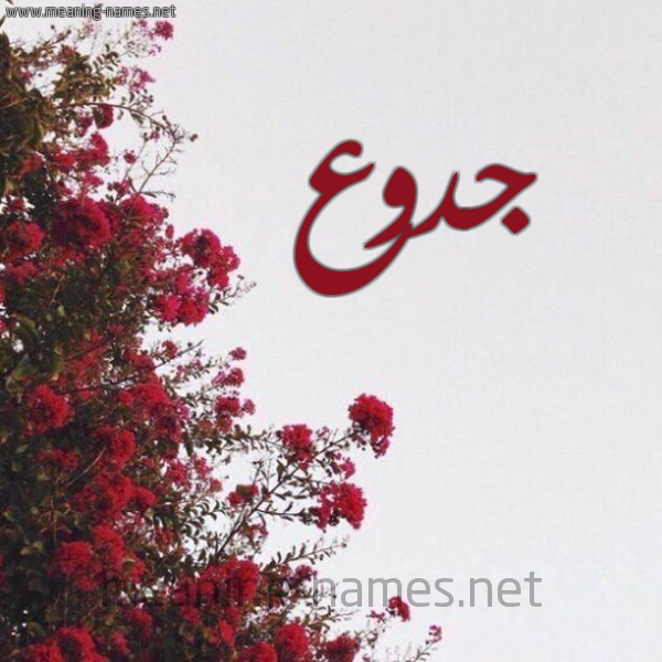 شكل 18 صوره الورد الأحمر للإسم بخط رقعة صورة اسم جدوع Gdoaa