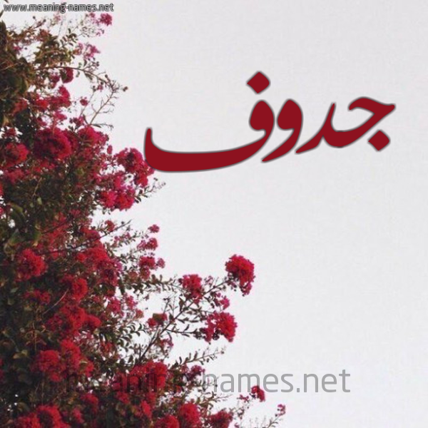 شكل 18 صوره الورد الأحمر للإسم بخط رقعة صورة اسم جدوف Jdwf