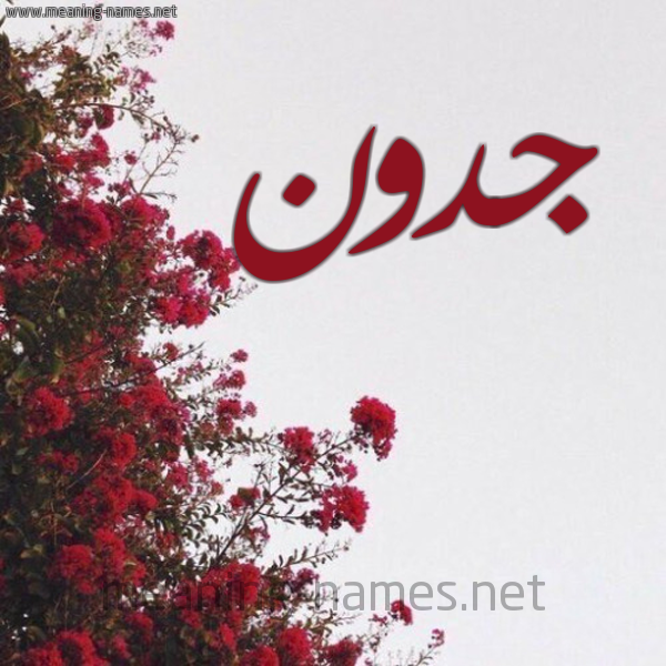 شكل 18 صوره الورد الأحمر للإسم بخط رقعة صورة اسم جدون Jdwn