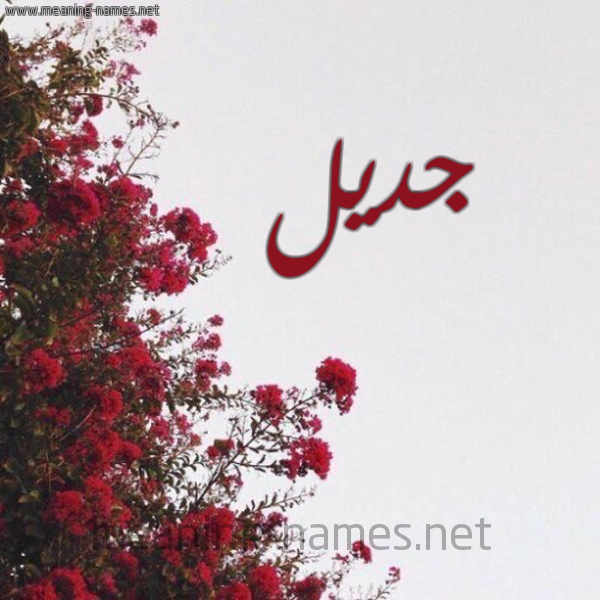 شكل 18 صوره الورد الأحمر للإسم بخط رقعة صورة اسم جديل Gadil