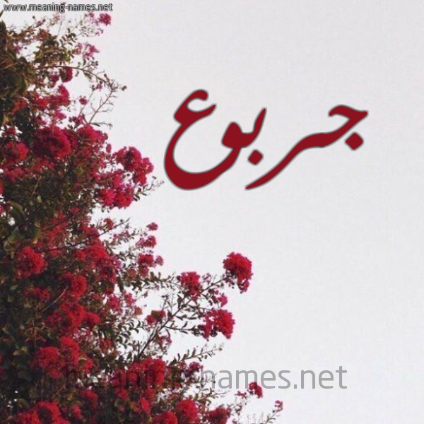 شكل 18 صوره الورد الأحمر للإسم بخط رقعة صورة اسم جربوع garbooa