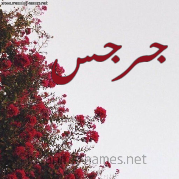 شكل 18 صوره الورد الأحمر للإسم بخط رقعة صورة اسم جرجس Gerges