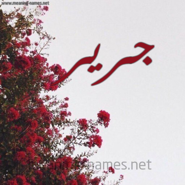 شكل 18 صوره الورد الأحمر للإسم بخط رقعة صورة اسم جرير Jryr