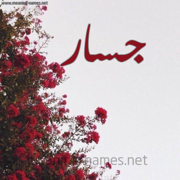 شكل 18 صوره الورد الأحمر للإسم بخط رقعة صورة اسم جسار Jassar