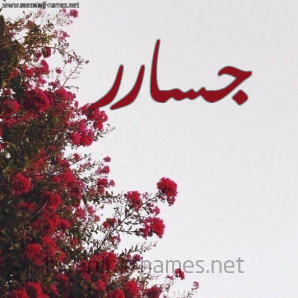شكل 18 صوره الورد الأحمر للإسم بخط رقعة صورة اسم جسارر Jassar