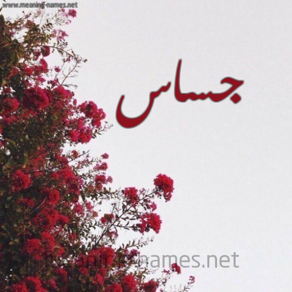 شكل 18 صوره الورد الأحمر للإسم بخط رقعة صورة اسم جساس Jsas