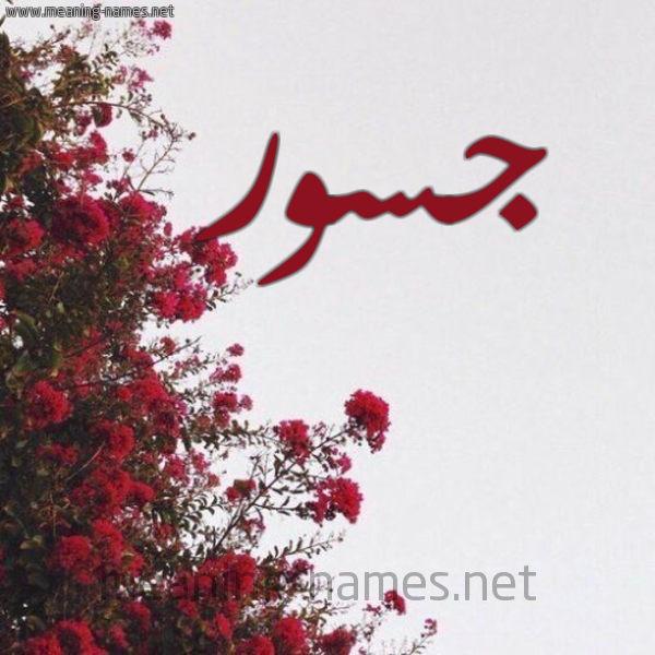 شكل 18 صوره الورد الأحمر للإسم بخط رقعة صورة اسم جسور Jswr