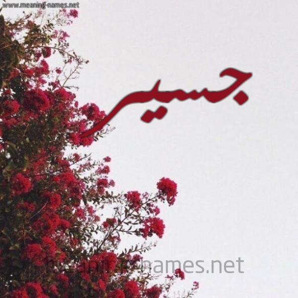 شكل 18 صوره الورد الأحمر للإسم بخط رقعة صورة اسم جسير Jassir