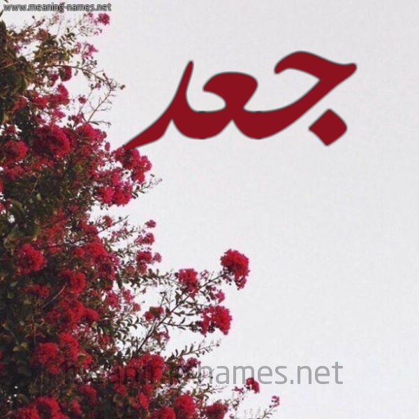 شكل 18 صوره الورد الأحمر للإسم بخط رقعة صورة اسم جعد GAD