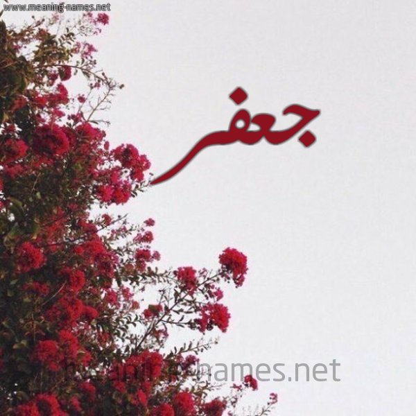 شكل 18 صوره الورد الأحمر للإسم بخط رقعة صورة اسم جعفر Jafer