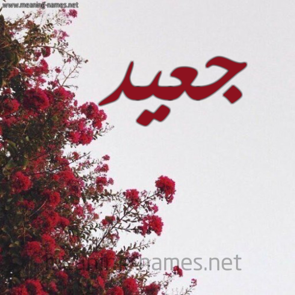 شكل 18 صوره الورد الأحمر للإسم بخط رقعة صورة اسم جعيد Jaad