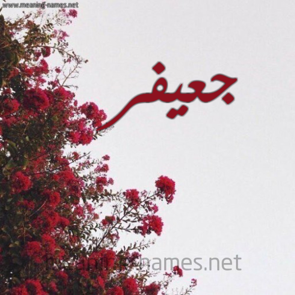 شكل 18 صوره الورد الأحمر للإسم بخط رقعة صورة اسم جعيفر GAIFR
