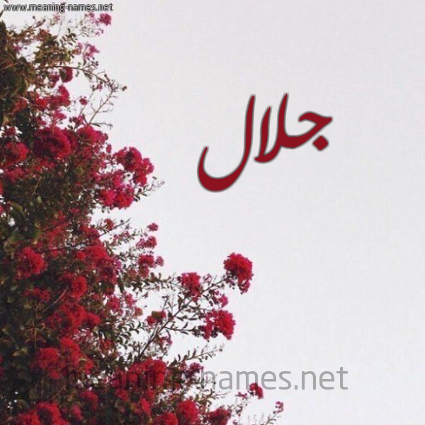 شكل 18 صوره الورد الأحمر للإسم بخط رقعة صورة اسم جلال Galal