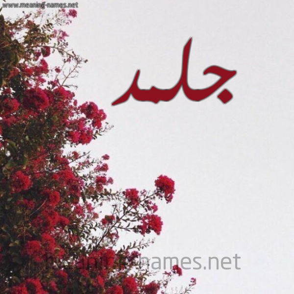 شكل 18 صوره الورد الأحمر للإسم بخط رقعة صورة اسم جلمد Jlmd